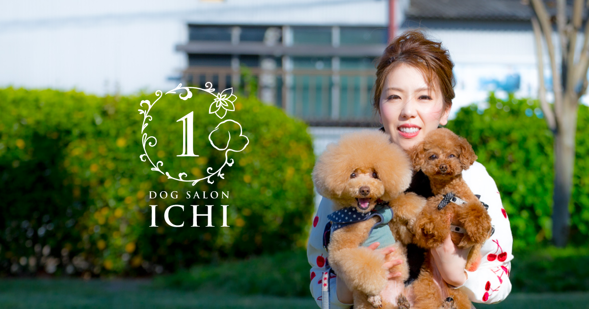 Dog Salon Ichi 姫路市広畑区にあるトリミング ドッグサロン ペットホテル